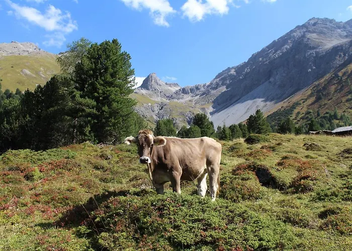 Landhuus Han/Misafirhane